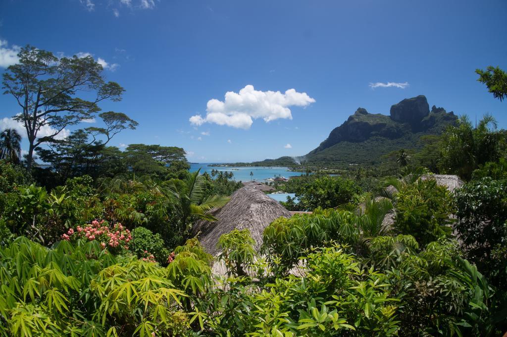 Rohotu Fare Villa Bora Bora Rum bild